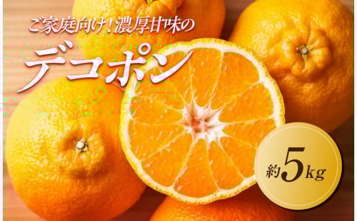 【2026年3月上旬より順次発送】ご家庭向け！濃厚甘味の「不知火(しらぬい)」約5kg 1569417 - 香川県高松市