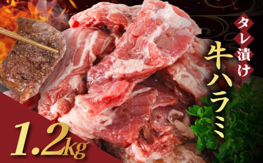 【訳あり】 タレ漬け 牛ハラミ 1.2kg 300g×4P （  肉 牛肉 牛 味付け ハラミ タレ ハラミ肉 BBQ バーベキュー 焼き肉 焼肉 焼肉セット アウトドア キャンプ ギフト 真空 パック 小分け 300g 個包装 簡単 便利 冷凍 人気 京都 南丹市 神戸 ミートフーズ ）