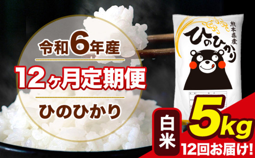 令和6年産 【12ヶ月定期便】 ひのひかり 白米 5kg 5kg×1袋 計12回お届け 熊本県産 こめ コメ 白米 精米 荒尾市 ひの 米 定期 《お申込み月の翌月から出荷開始》 1569988 - 熊本県荒尾市