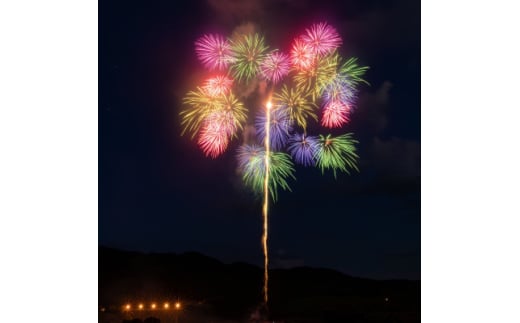 思い出花火 打ち上げ＜鶴(6号)＞(えちごせきかわ大したもん蛇まつり花火大会)【1312842】 942461 - 新潟県関川村