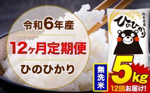 【12ヶ月定期便】令和6年産 無洗米 5kg 米 ひのひかり《お申込み月の翌月から出荷開始》熊本県 菊池市 国産 熊本県産 白米 精米 無洗米 送料無料 ヒノヒカリ こめ お米 