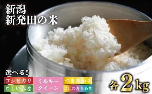 [先行予約] 令和7年産 コシヒカリ 2kg 選べる 5品種 新米 白米 米 こしひかり こしいぶき ミルキークイーン つきあかり にじのきらめき こめ ごはん おにぎり お弁当 特別栽培米 農家直送 産地直送 ふるさと納税 姉﨑農園 新潟産 新潟県 新発田市 anezaki007 anezaki008 anesaki009 anezaki010 anezaki011