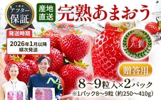 アフター保証 あまおう 8～9粒入り×2パック【先行受付／2026年1月以降順次発送予定】いちご 大粒 不揃い DX デラックス エクセレント 苺 イチゴ 福岡高級 フルーツ 土産 福岡県 433629 - 福岡県田川市