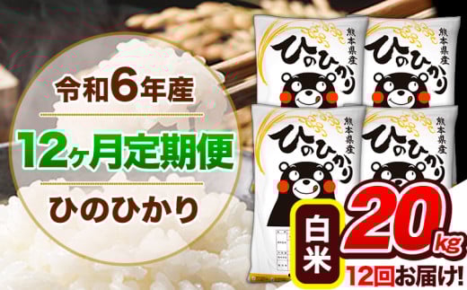 【12ヶ月定期便】令和6年産 定期便 ひのひかり20kg 《申込み翌月から発送》令和6年産 熊本県産 ふるさと納税 白米 精米 ひの 米 こめ ふるさとのうぜい ヒノヒカリ コメ 熊本米 1569337 - 熊本県玉東町