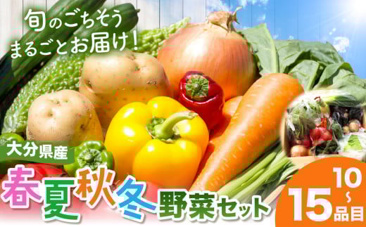 【JA直売所直送】春夏秋冬野菜セット | 野菜 やさい ヤサイ セット 旬 産地直送 大分県産 10～15品 国産野菜 大分県 中津市