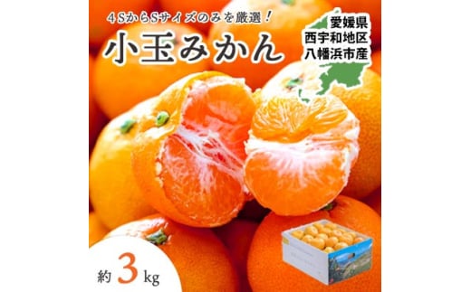 ＜2025年11月より順次出荷＞小さいみかんを厳選!愛媛みかん小玉3kg＜訳あり＞＜A25-218＞【1626121】