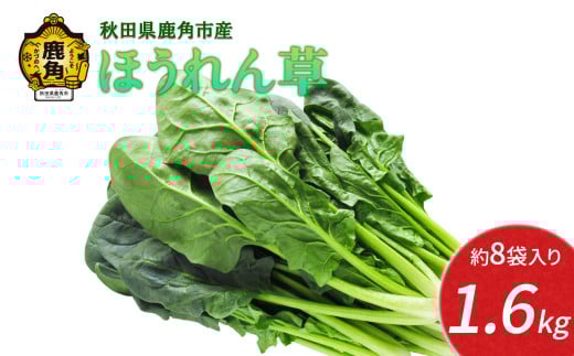 【2026年3月発送】 秋田県鹿角産 ほうれん草 約1.6kg（約8袋入）【恋する鹿角カンパニー】新鮮 旬 緑黄色野菜 ホウレンソウ 炒め物 おひたし 安全 甘い 採れたて 国産野菜 お取り寄せ グルメ ギフト お中元 お歳暮 秋田 あきた 鹿角市 鹿角 秋田県 鹿角産 送料無料
