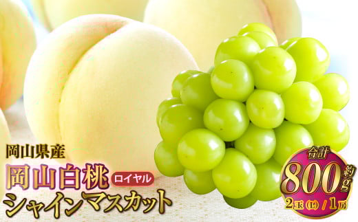 岡山県産 岡山白桃 ロイヤル Lサイズ 約200g×2玉・シャインマスカット 晴王 約400g×1房 詰合せ [2025年7月上旬〜8月下旬発送予定] 白桃 桃 もも モモ マスカット ぶどう 葡萄 ブドウ セット