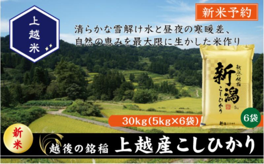 令和7年産 先行予約 新潟県上越産こしひかり 精米 30kg 上越市 米 コメ コシヒカリ 2134452 - 新潟県上越市