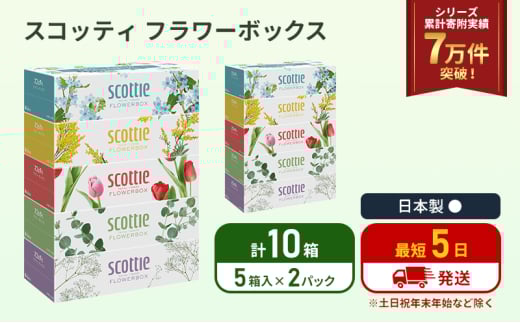 ティッシュ スコッティ フラワーボックス 10箱 (5箱×2パック) ティッシュペーパー ティシュー ティシューペーパーボックスティッシュ ボックスティシュー ティシュペーパー 防災 災害 日用品 生活用品 生活必需品 宮城県 岩沼市 [№5704-1124] 2134328 - 宮城県岩沼市