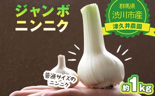 ジャンボニンニク 1kg 薬味 野菜 食品 F4H-0521