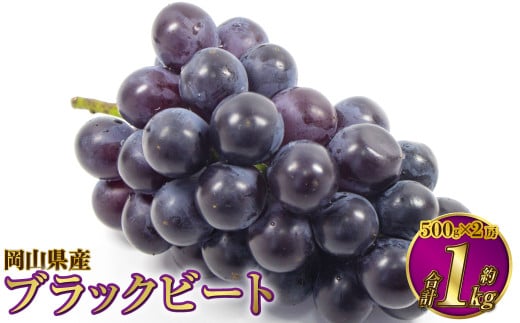 岡山県産 ブラックビート 約1kg（約500g×2房）【2025年8月上旬～9月上旬発送予定】 ぶどう ブドウ 葡萄