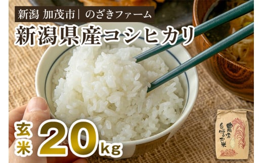 新潟県産コシヒカリ 玄米20kg（20kg×1袋）（従来品種） 《9月下旬から順次出荷》 新潟米 お米 こめ コメ ライス ご飯 加茂市 のざきファーム