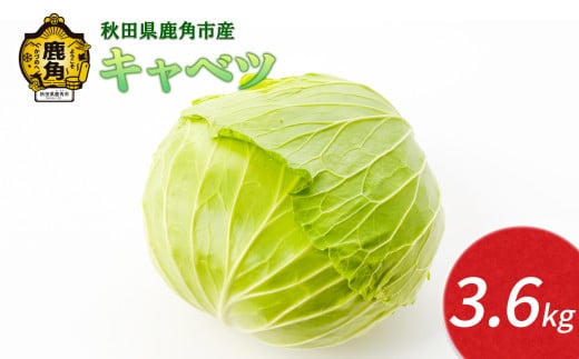 【2025年12月発送】 秋田県鹿角産 キャベツ 約3.6kg（約3～4玉入）【恋する鹿角カンパニー】新鮮 旬 産地直送 安全 甘い 採れたて 国産野菜 お取り寄せ グルメ ギフト お中元 お歳暮 秋田 あきた 鹿角市 鹿角 秋田県 鹿角産 送料無料 