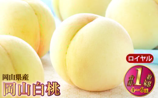 岡山白桃 ロイヤル 4～6玉 約1kg 岡山県産【2025年7月上旬～8月下旬発送予定】 白桃 桃 もも モモ 2133888 - 岡山県奈義町