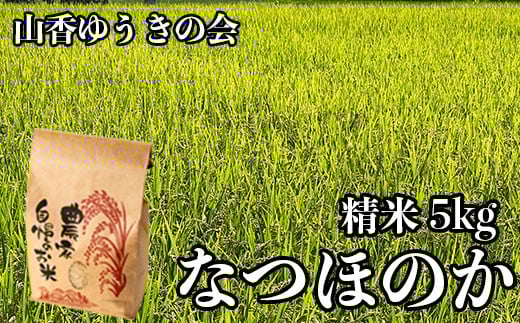 【 令和7年産 新米 先行予約 】山香ゆうきの会の米 5kg（精米：なつほのか） 新米 5kg 米 先行予約 先行受付 ＜002-010＞ 983964 - 大分県杵築市