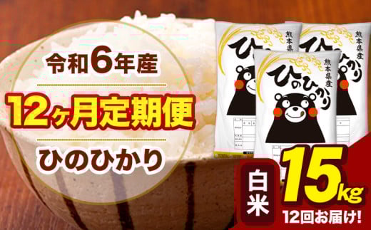令和6年産 【12ヶ月定期便】 白米 米 ひのひかり 15kg《お申し込み月の翌月から出荷開始》熊本県 大津町 国産 熊本県産 白米 送料無料 ヒノヒカリ こめ お米 1582681 - 熊本県大津町