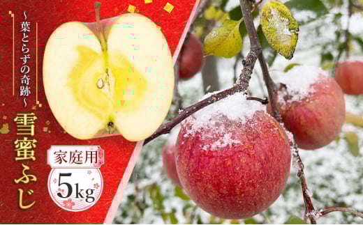【家庭用】雪蜜ふじ～葉とらずの奇跡～約5kg【青森りんご・マルコウアップル】果物類 フルーツ 林檎 リンゴ 板柳町 青森県 おやつ デザート 2133549 - 青森県板柳町
