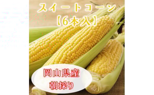 岡山県美作市産　スイートコーン6本【1625095】