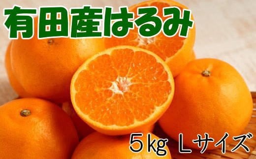 [厳選・濃厚]紀州有田産のはるみ約5kg(Lサイズ) ★2026年1月下旬〜2026年2月中旬頃より順次出発送[tec914B]