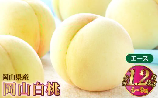 岡山白桃 エース 4～8玉 約1.2kg 岡山県産【2025年7月上旬～8月下旬発送予定】 白桃 桃 もも モモ