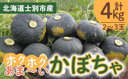 【A7084】北海道士別産 かぼちゃ（計4㎏・2～3玉）【先行予約受付中！9月下旬以降、準備ができ次第順次発送】北海道産 国産 カボチャ 南瓜  野菜 煮物 サラダ 天ぷら 甘い 味覚の秋 【吉方農園】 2073630 - 北海道士別市