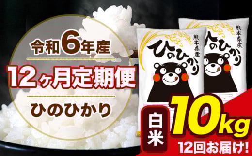 令和6年産 【12ヶ月定期便】ひのひかり 白米 10kg 5kg×2袋 計12回お届け 熊本県産 こめ コメ 白米 精米 荒尾市 ひの 米 定期 《お申込み月の翌月から出荷開始》 1214211 - 熊本県荒尾市