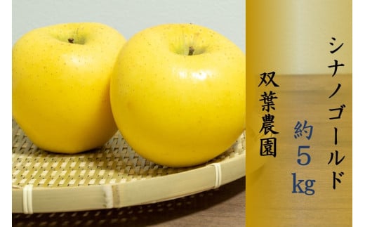 166 先行予約 りんご シナノゴールド 
