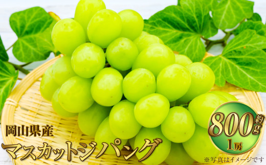 岡山県産 マスカットジパング 約800g（1房）