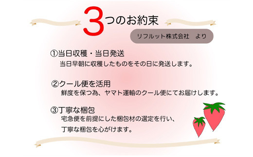 産地直送！丁寧に梱包しお届けいたします。