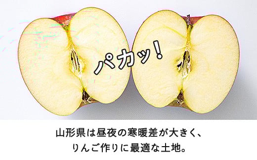 山形県山辺町のふるさと納税 【先行予約】りんご サンふじ ご家庭用 約10kg(24~50玉)  2025年産 山形県産 甘い シャキシャキ 食感 リンゴ 林檎 フルーツ 果物 果樹 ※沖縄・離島への配送不可 tf-risfm10