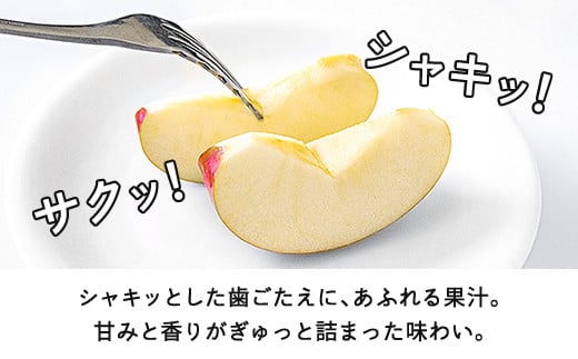 山形県山辺町のふるさと納税 【先行予約】りんご サンふじ ご家庭用 約10kg(24~50玉)  2025年産 山形県産 甘い シャキシャキ 食感 リンゴ 林檎 フルーツ 果物 果樹 ※沖縄・離島への配送不可 tf-risfm10