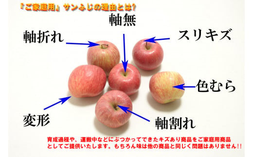 山形県山辺町のふるさと納税 【先行予約】りんご サンふじ ご家庭用 約10kg(24~50玉)  2025年産 山形県産 甘い シャキシャキ 食感 リンゴ 林檎 フルーツ 果物 果樹 ※沖縄・離島への配送不可 tf-risfm10