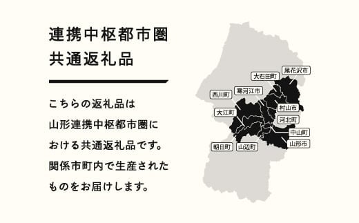 山形県山辺町のふるさと納税 【先行予約】りんご サンふじ ご家庭用 約10kg(24~50玉)  2025年産 山形県産 甘い シャキシャキ 食感 リンゴ 林檎 フルーツ 果物 果樹 ※沖縄・離島への配送不可 tf-risfm10