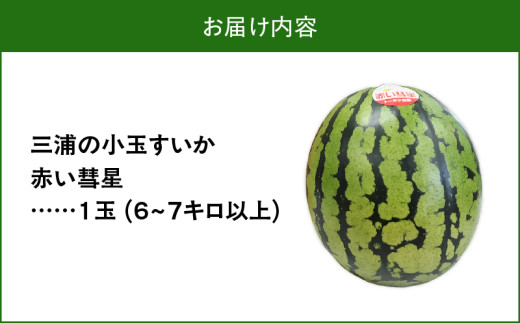 空宙スイカ　すいかっちゃん　4～6L相当　1玉 三浦の小玉スイカ（赤い彗星）1ヶ入 M080-004-03 - 神奈川県三浦