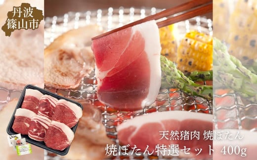 焼ぼたん特選セット400ｇ (2～3人前) 兵庫県 丹波篠山市 猪肉 いのしし肉 ジビエ料理 お歳暮 御歳暮 お正月 お取り寄せ ハレの日 お鍋 団らん ギフト お祝い プレゼント 贈り物 おおみや