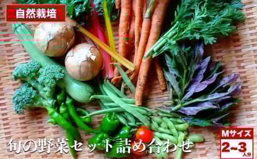 自然栽培 旬の野菜セット 詰め合わせ Mサイズ 2～3人分 くわのみ農園 ｜ 野菜 セット 詰め合わせ 自然栽培 農薬不使用 旬 やさい サラダ 採れたて とれたて 新鮮 季節限定 長野県 飯田市 信州 2064666 - 長野県飯田市