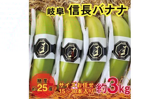 1043 天下布武信長バナナ 約3kg サイズお任せ 岐阜県産 糖度25度前後 無農薬 無添加 2155453 - 岐阜県各務原市