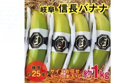 1041 天下布武信長バナナ 約1kg サイズお任せ 岐阜県産 糖度25度前後 無農薬 無添加 2155451 - 岐阜県各務原市
