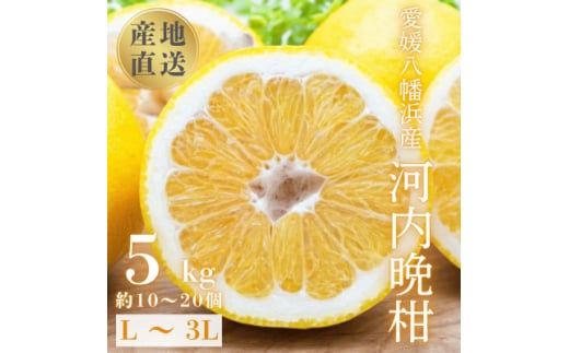 《果汁たっぷりジューシー》産地直送 愛媛八幡浜産 河内晩柑5kg＜D20-89＞【1625428】