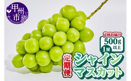 【定期便】【農林水産大臣賞受賞!!】山梨のシャインマスカット 1房500g以上 全2回定期便【2025年発送】（AGB）B13-875 【シャインマスカット 葡萄 ぶどう ブドウ 令和7年発送 期間限定 山梨県産 甲州市 フルーツ 果物】 2017694 - 山梨県甲州市