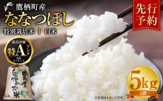 【令和7年産】 ななつぼし （白米） 特Aランク 5kg 米 お米 精白米 白米 こめ 北海道 鷹栖町 【2025年9月下旬より発送開始】