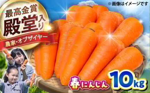 春にんじん10kg / にんじん ニンジン 野菜 β-カロテン 食物繊維 抗酸化作用 栄養満点 熊本県産 菊陽町 【株式会社 まゆみ農園】 [BHCW001]