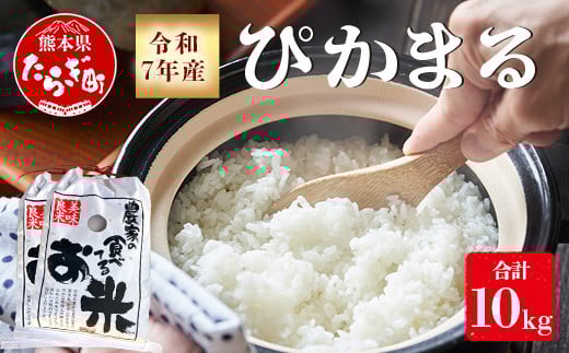 令和7年産 新米 先行予約 多良木町産 ぴかまる 5kg ( 令和7年10 令和7年産 新米 先行予約 多良木町産 ぴかまる 5kg ( 令和7年10