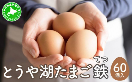 [5525-0912]北海道 伊達市 とうや湖 卵 鉄  60個 入り たまご 1279809 - 北海道伊達市