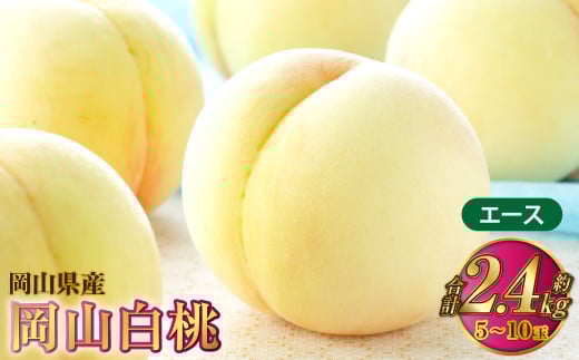 岡山白桃 エース 5～10玉 約2.4kg 岡山県産【2025年7月上旬～8月下旬発送予定】 白桃 桃 もも モモ