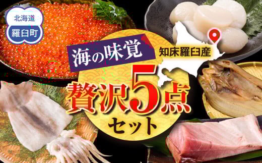 北海道知床羅臼産 海の味覚贅沢 5 種セット 開きほっけ イカ一夜干し 冷凍ほたて ブリ刺身柵 正油いくら 魚 海産物 魚介 魚介類 生産者 支援 応援