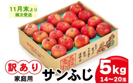 家庭用りんご サンふじ 5kg (14玉から20玉入り 5kg 1箱) 見た目にわけあり 味はそのまま｜令和7年産 2025年産 青森 津軽 つがる りんご リンゴ サンフジ 訳あり 訳アリ 果物 旬 青森りんご [0839] 963490 - 青森県つがる市