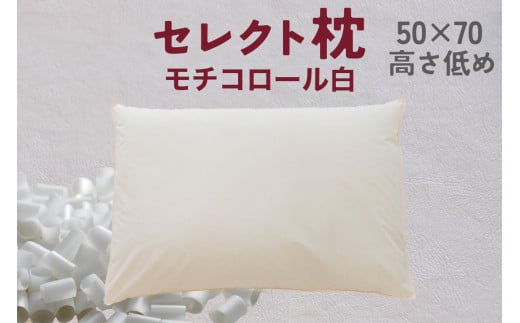 セレクト枕 モチコロール白 標準タイプ 高さ低め（50×70cm）