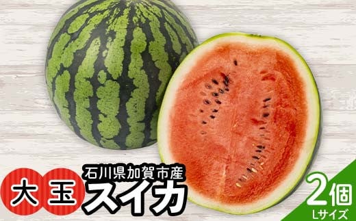 【先行予約】浜井さんの甘い！大玉スイカ　石川県加賀市産 スイカ 西瓜 デザート フルーツ 果物 F6P-2624